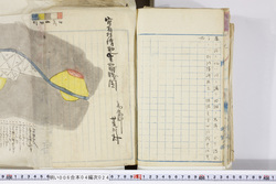 明い006040240004.jpg