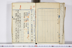 明い006050000005.jpg