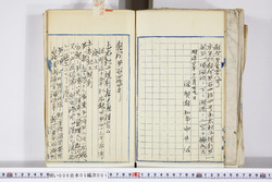 明い006050010002.jpg