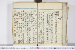 明い006050020002.jpg