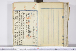 明い006050030004.jpg