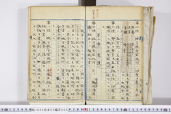 明い006050050004.jpg