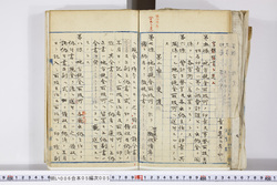 明い006050050005.jpg