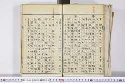 明い006050050006.jpg