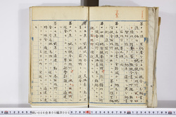 明い006050050007.jpg