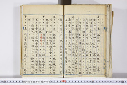 明い006050050009.jpg