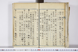 明い006050050010.jpg