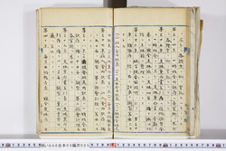 明い006050050011.jpg