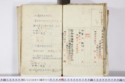 明い006050050015.jpg
