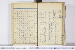 明い006050080002.jpg