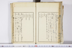 明い006050090003.jpg