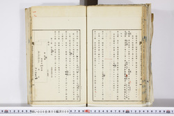 明い006050090004.jpg