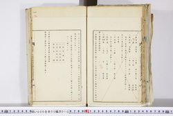 明い006050100002.jpg