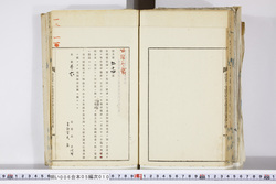 明い006050100003.jpg