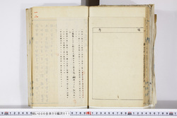 明い006050110003.jpg