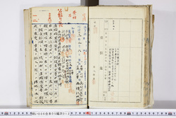 明い006050120003.jpg