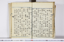 明い006050120004.jpg