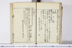 明い006050160002.jpg