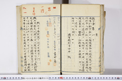 明い006050200002.jpg