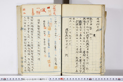 明い006050210002.jpg