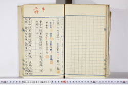 明い006050220003.jpg