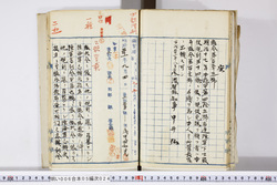明い006050240002.jpg