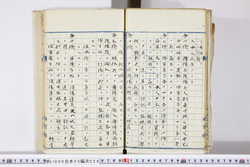 明い006050260005.jpg