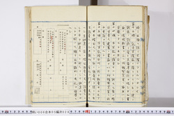 明い006050280006.jpg