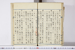 明い006050280007.jpg