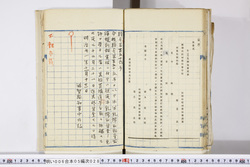 明い006050280008.jpg