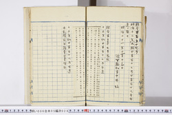明い006050280009.jpg