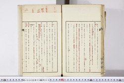 明い006050280013.jpg