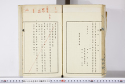 明い006050280016.jpg