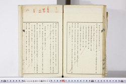 明い006050280019.jpg