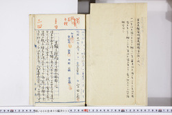 明い006050330003.jpg