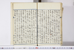 明い006050340002.jpg