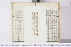 明い006050340003.jpg