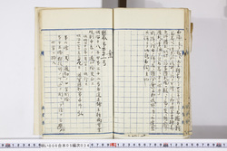 明い006050340004.jpg