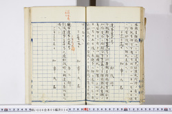 明い006050340006.jpg