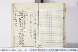 明い006050340007.jpg