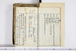 明い008010030003.jpg