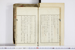 明い008010040004.jpg