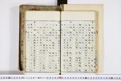 明い008010070004.jpg