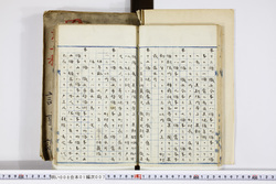 明い008010070005.jpg