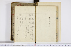 明い008010070015.jpg