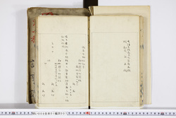 明い008010070017.jpg
