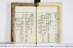 明い008010090002.jpg