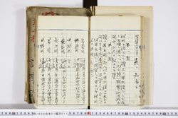 明い008010110004.jpg