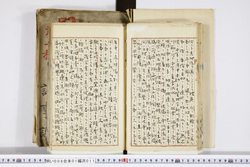 明い008010110008.jpg