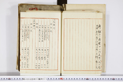 明い008010110011.jpg